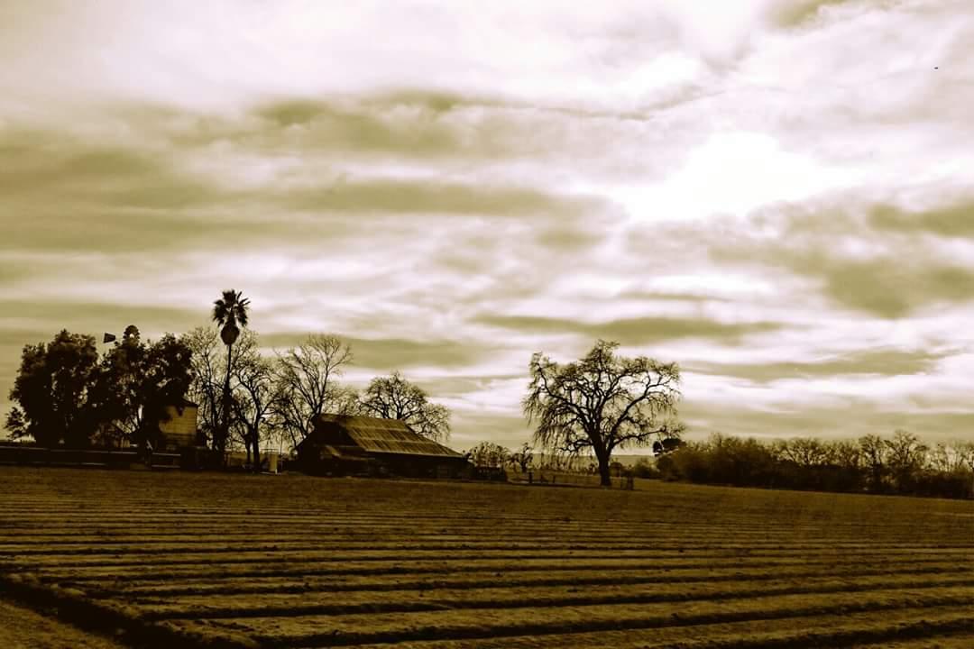 Twang-Thang-farmstead-image-Yolo
