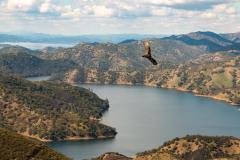 Berryessa Berryessa
