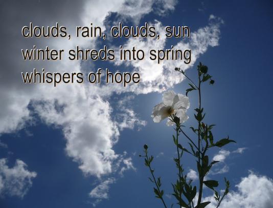 Spring Haiga