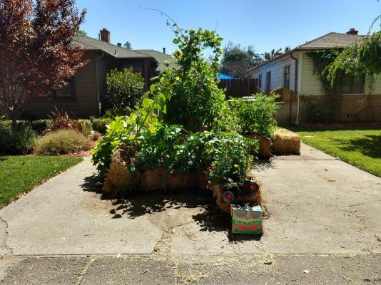 Straw bale garden