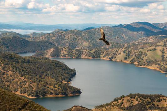 Berryessa