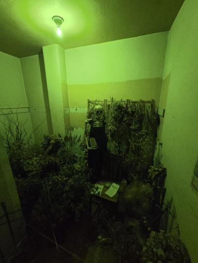 Skeleton Gardener