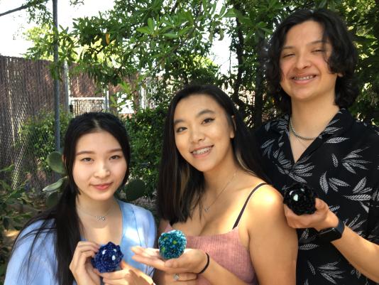 Ada Lei, Jennine Eng, Sebastian Carpintero of the Davis Triceratops community