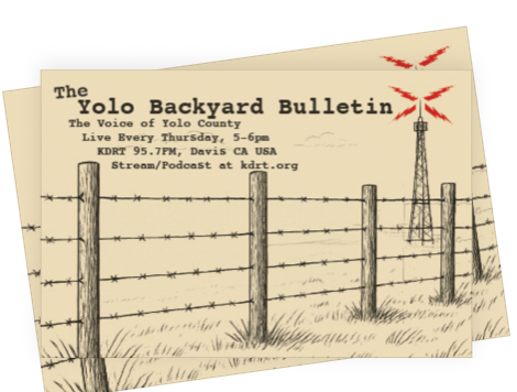Logo for Yolo Backyard Bulletin