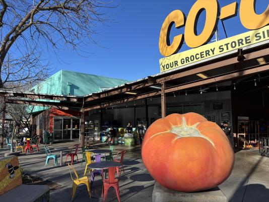 Front of Davis Food Co-op building, Feb. 19, 2026