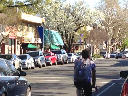 Davis street scene, Yolo visitors