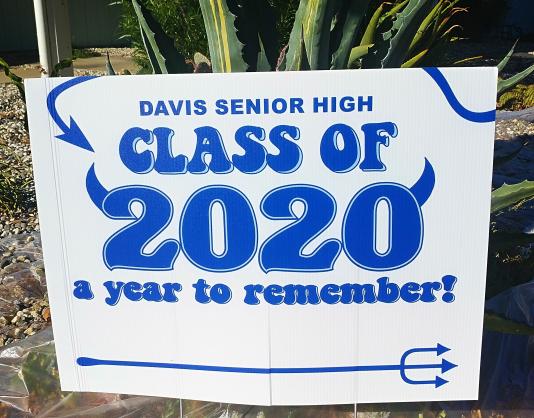 davis senior celebration