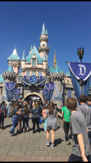 Disneyland Castle