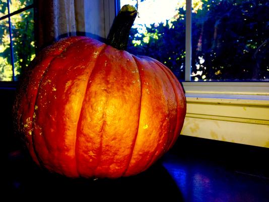 pumpkin