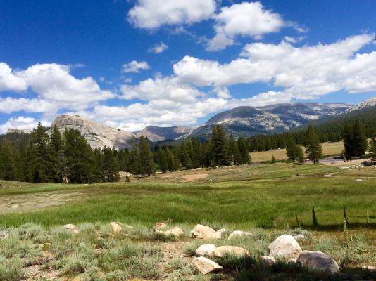 Yosemite