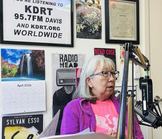 Alexandra Lee-Job, Davis phoenix coalition, Anoosh JorJorian, KDRT, Peter Pastoor, 