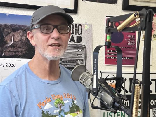 Steve Bonnel, KDRT,