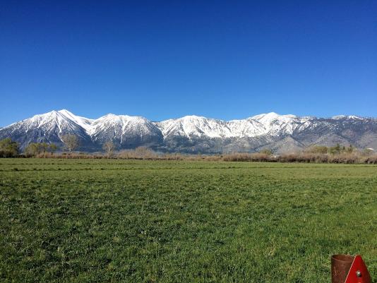 sierras from genoa