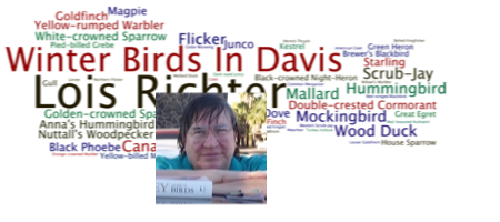 Birding Wordle + Lois