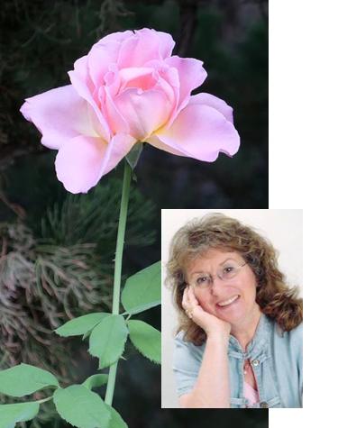 Gitane and her rose