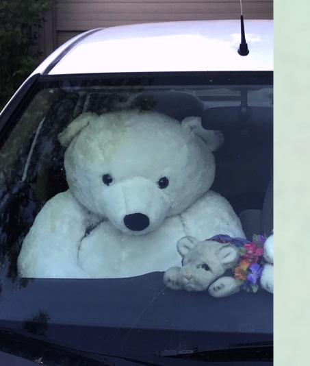 Bear hunting = FOUND