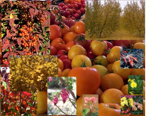 October Scenes