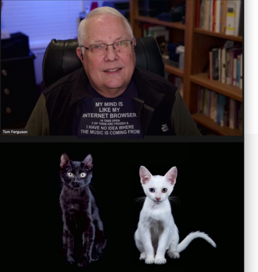 Tom Ferguson photographs cats