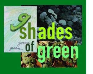 Shades of Green