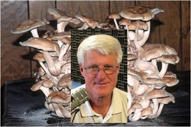 Mike Davis in Shiitake Mushrooms