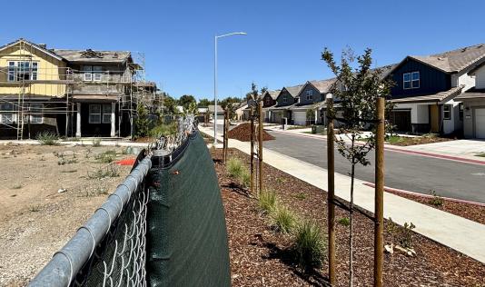 Photo of new houses being built near East 8th Street in Davis, June 2026