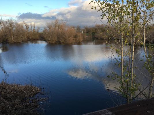 North Davis pond, full with storm runoff, on Dec. 23, 2021 -- photo by Bill Buchanan
