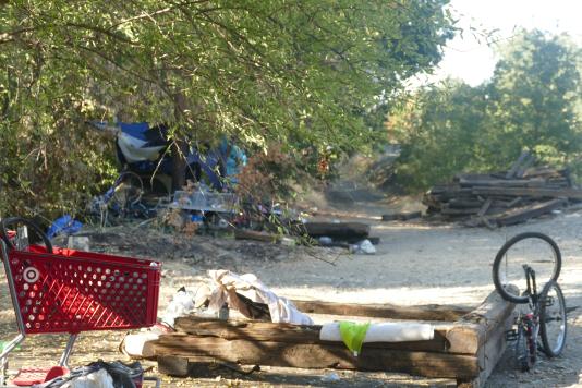 PHOTO: Homeless inhabit land between F street and Cannery housing development. CREDIT: Max Davis-Housefield