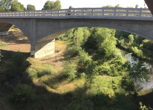 Putah Creek at Winters bridge, May 2021