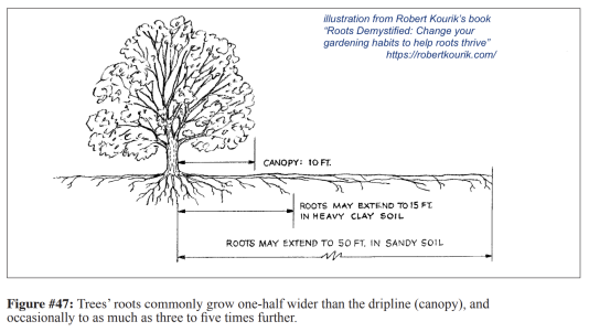 Roots Demystified