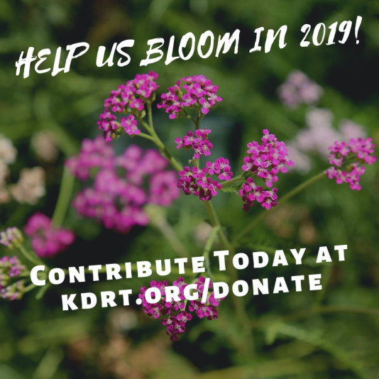 bloom