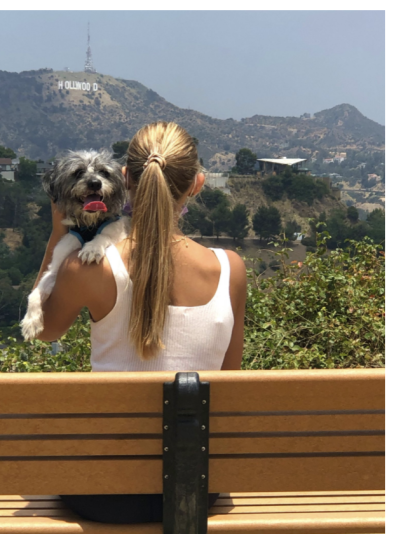 Rescue Dog Walking