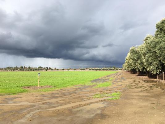 Storm in Yolo County