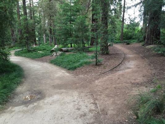 two paths