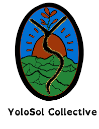 Yolosol, Juliette Beck, David Abramson, Pieter Pastoor, KDRT.