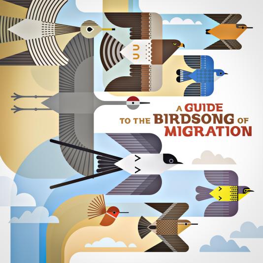Guide to the Birdsong of Migration