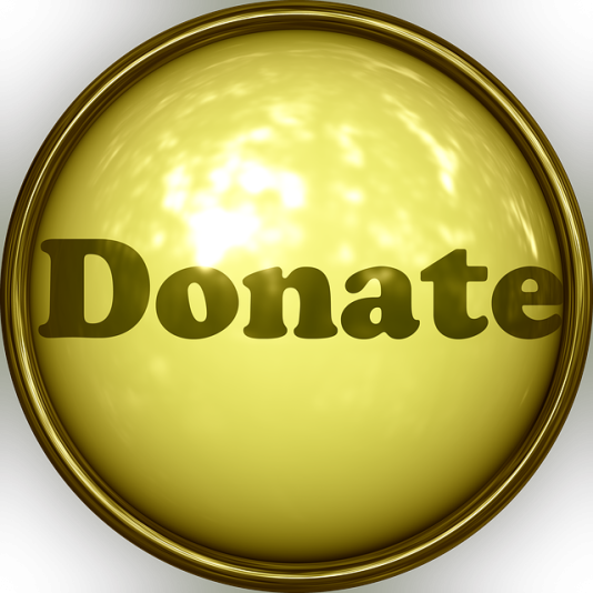 Donate button