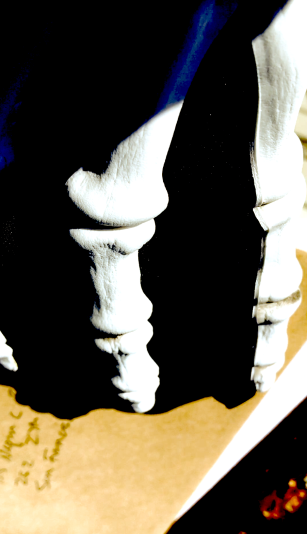 photo of finger bones, from a costume