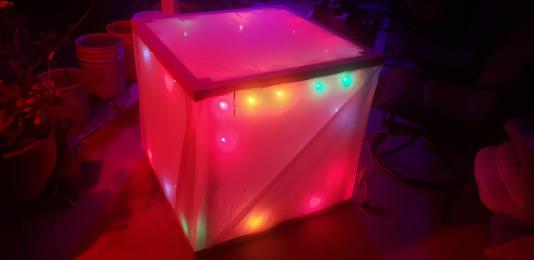 cold frame with holiday lights