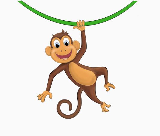 Monkey in Tree