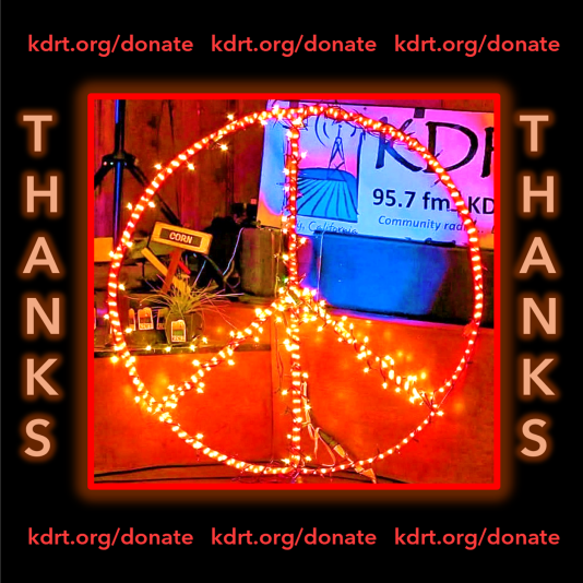 KDrt Fundraiser_Thank You graphic