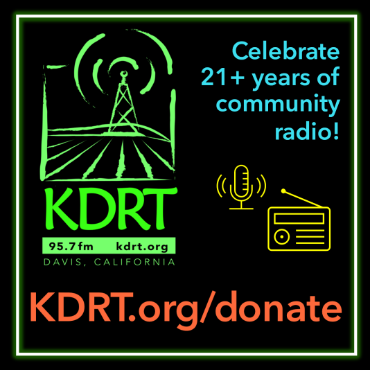 KDRT Fundraiser T graphic