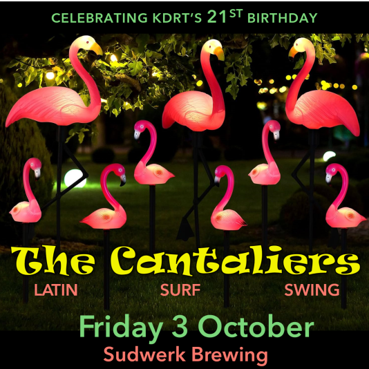 KDRT 21st Birthday Bash flamingo image