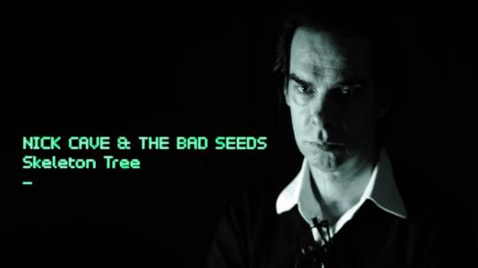 Nick Cave image