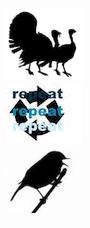 repeat-turkey-jazz