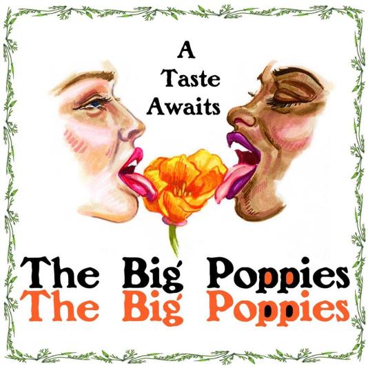 The Big Poppies, KDRT, Listening Lyrics, Pieter Pastoor