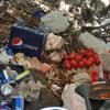 Camp Trash