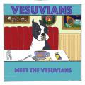 Meet the Vesuvians