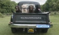 Hounds in a Pickup picture