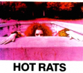 hot rats