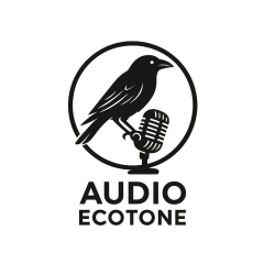 audio Ecotone, Crows, 